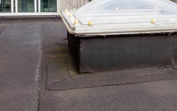 disadvantages of Inchinnan flat roofs